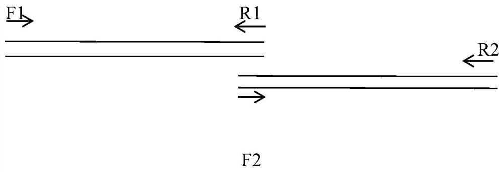 TNK-tPA fusion protein with enhanced transepithelial cell transport capacity, and application thereof