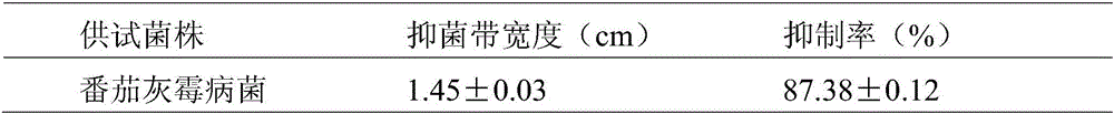 Bacillus methylotrophicus as well as biological prevention and treatment preparation and applications thereof