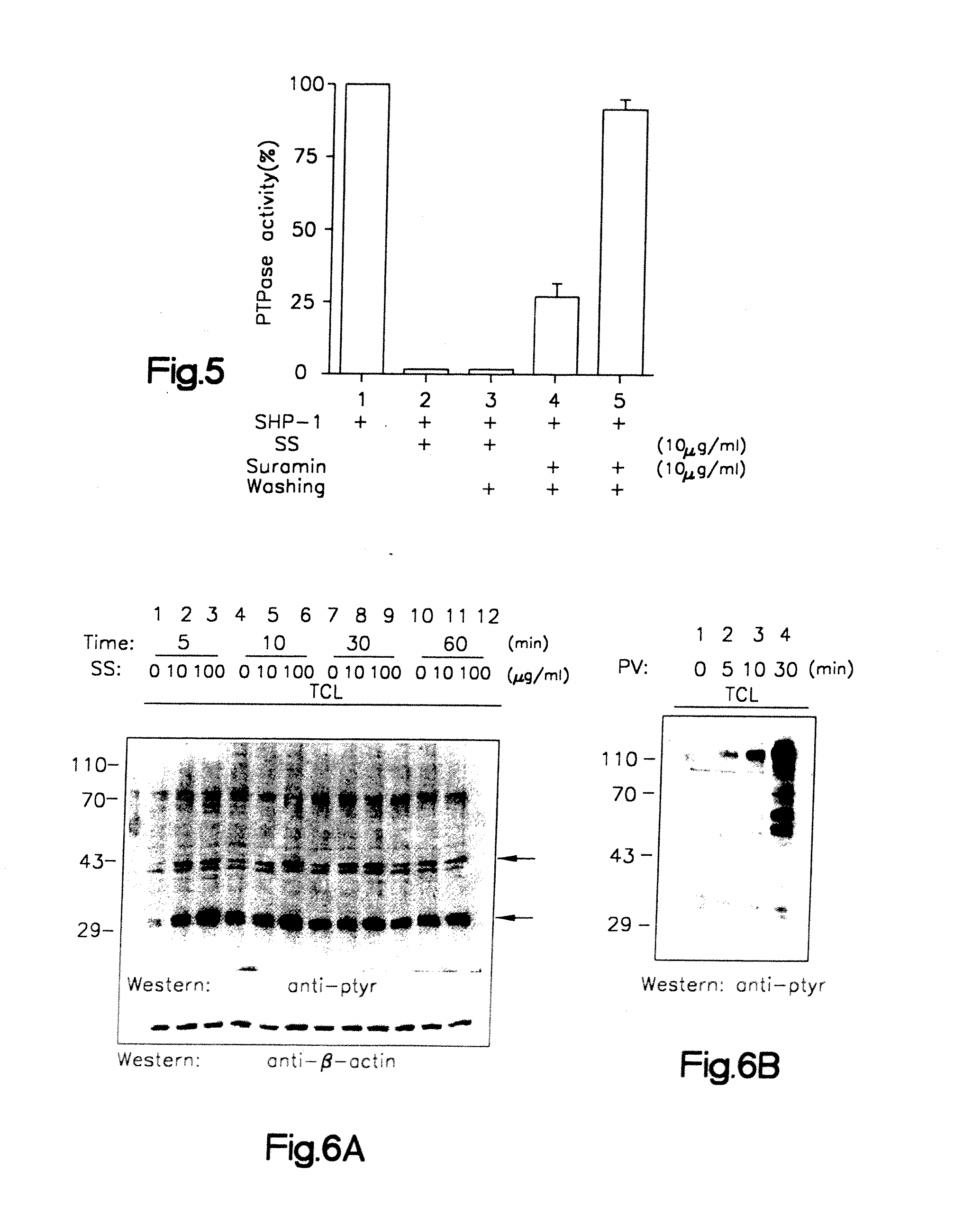 Therapeutic compositions and methods useful in treating hepatitis