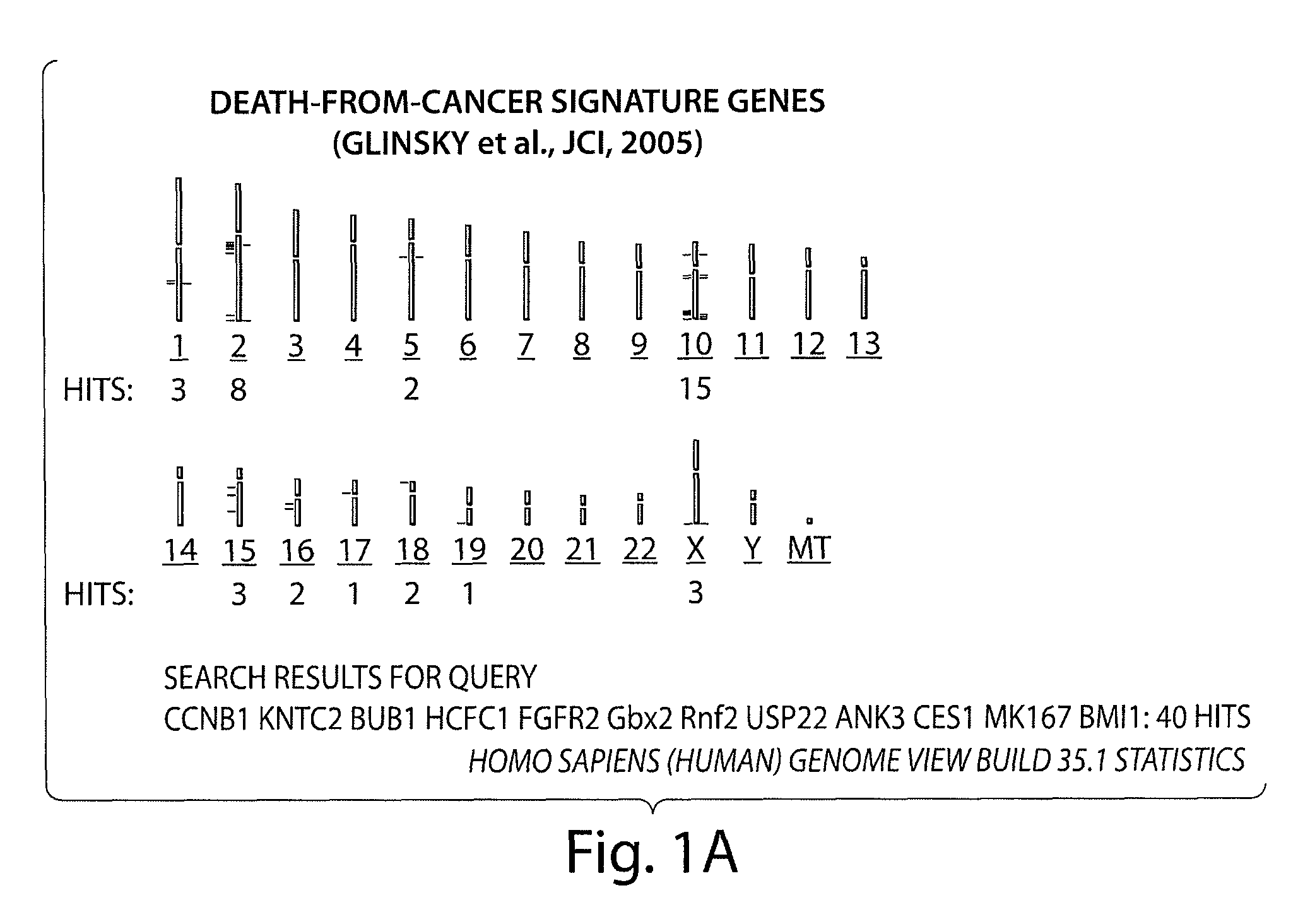 Prognostic and diagnostic method for cancer therapy