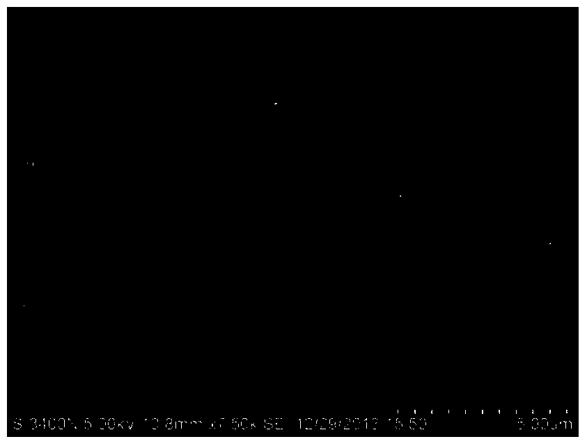 Bacillus thuringiensis fh21, insecticidal gene, expressed protein and application thereof