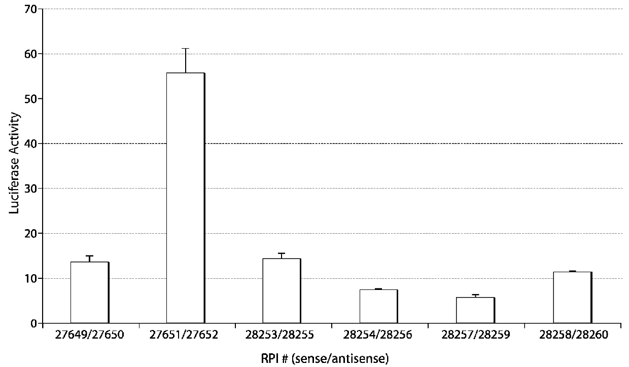 RNA INTERFERENCE MEDIATED INHIBITION OF GENE EXPRESSION USING CHEMICALLY MODIFIED SHORT INTERFERING NUCLEIC ACID (siNA)