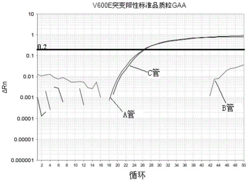 Method and kit thereof for detecting BRAF gene mutation