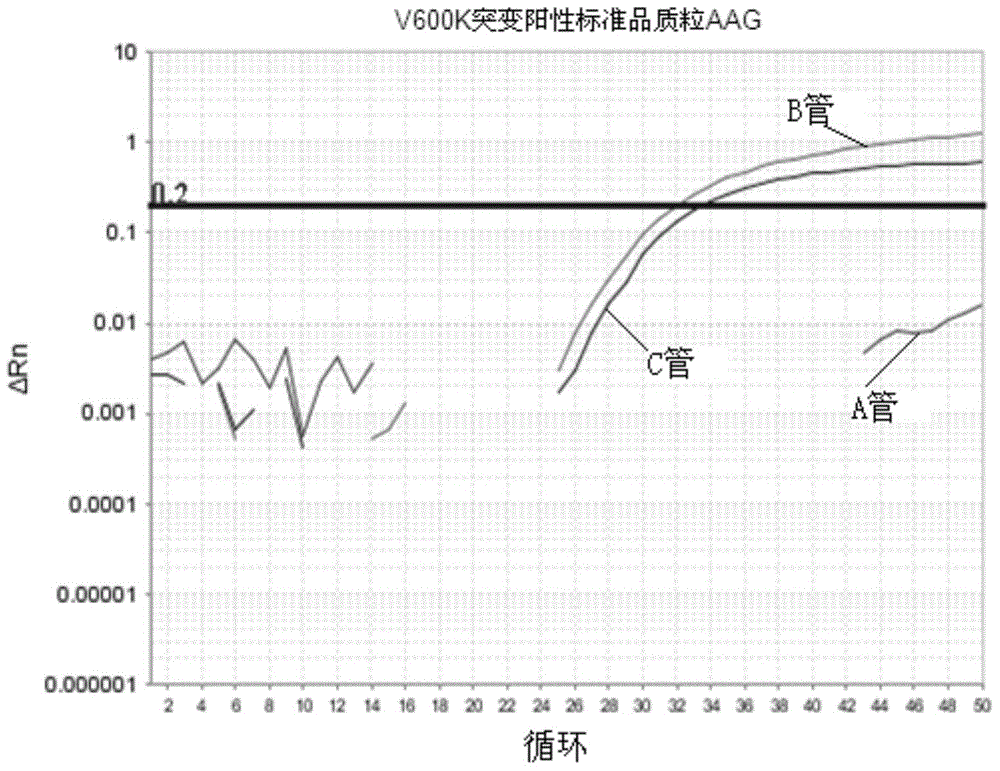 Method and kit thereof for detecting BRAF gene mutation