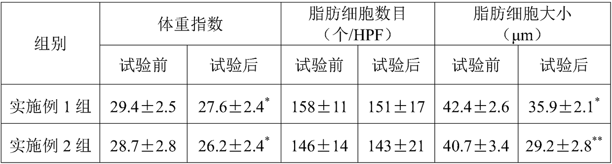 Diet pill cake and application method thereof