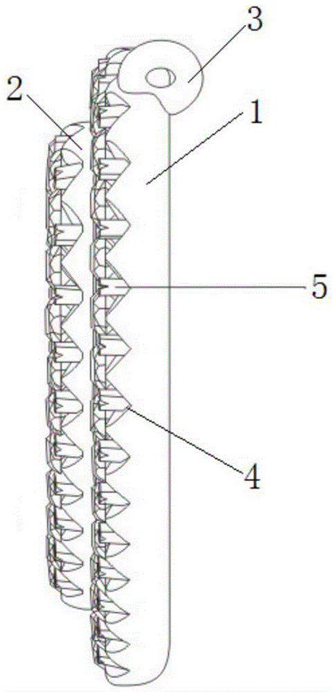 Micro tooth insert structure and micro tooth insert process