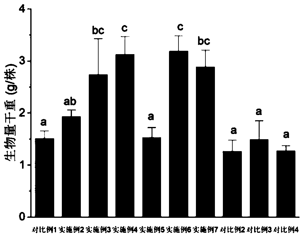 Method for repairing heavy metal cadmium contaminated soil by strengthening phytolacca americana through nitrogen fertilizer