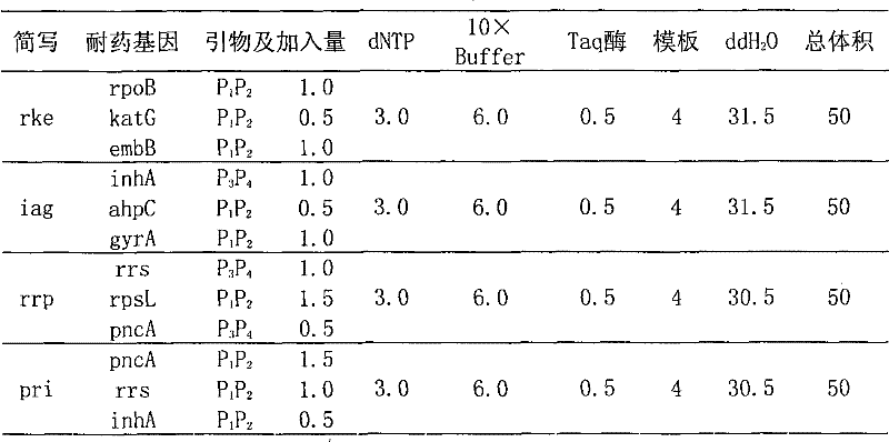 Drug-resistance gene film chip for detecting mycobacterium tuberculosis