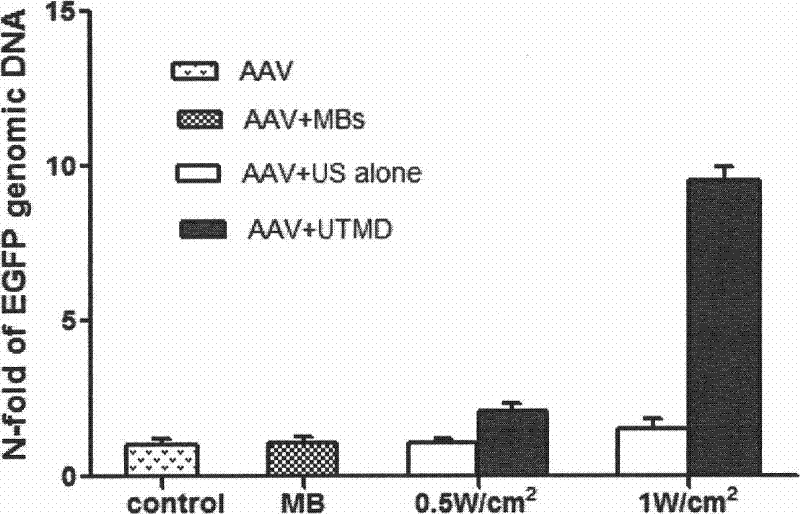 Method for mediated gene transfection