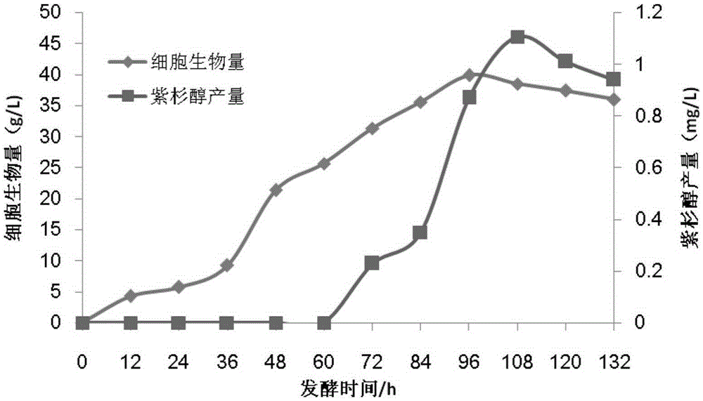 Recombinant strain of Hansenula polymorpha and its application in the biosynthesis of paclitaxel