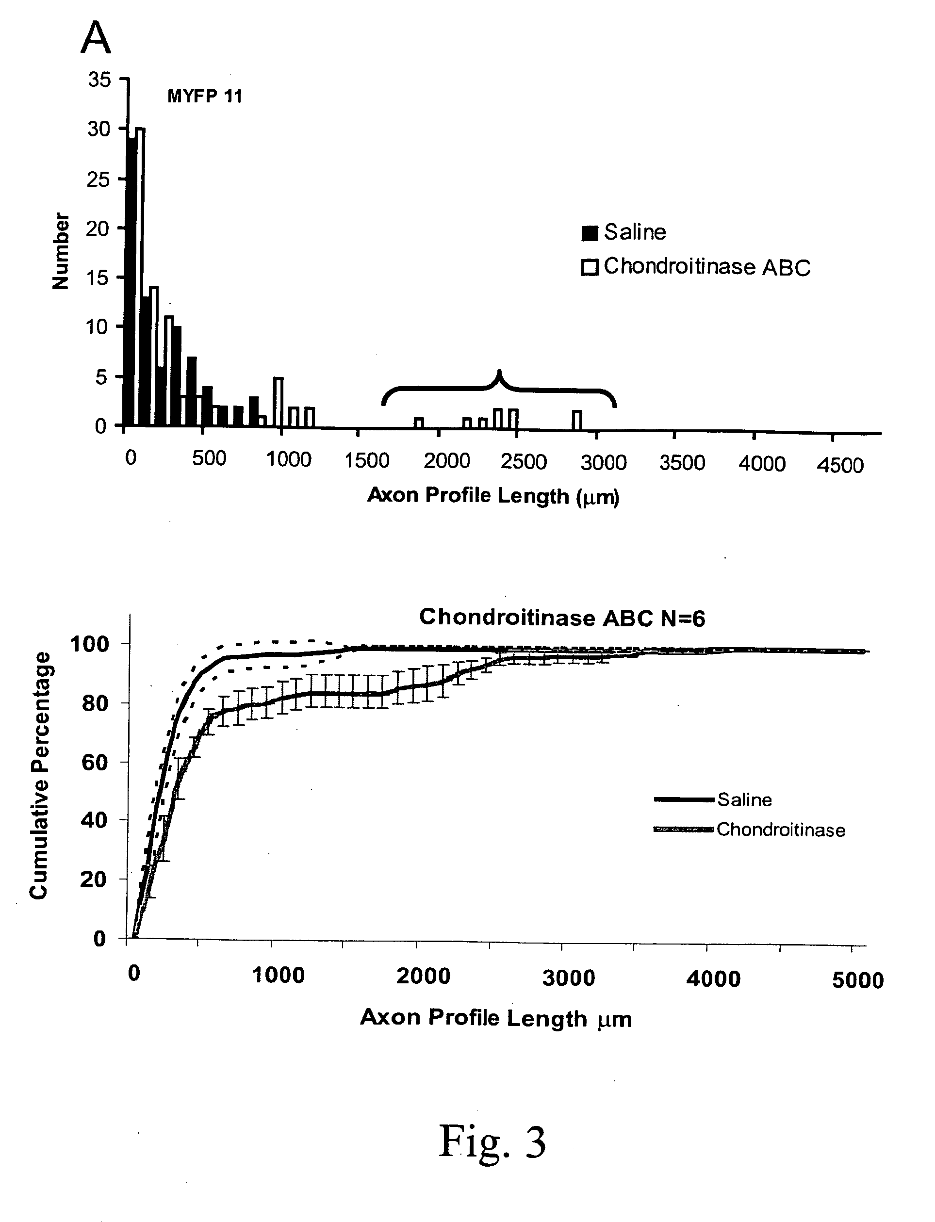 Materials and method for promotion of nerve regeneration