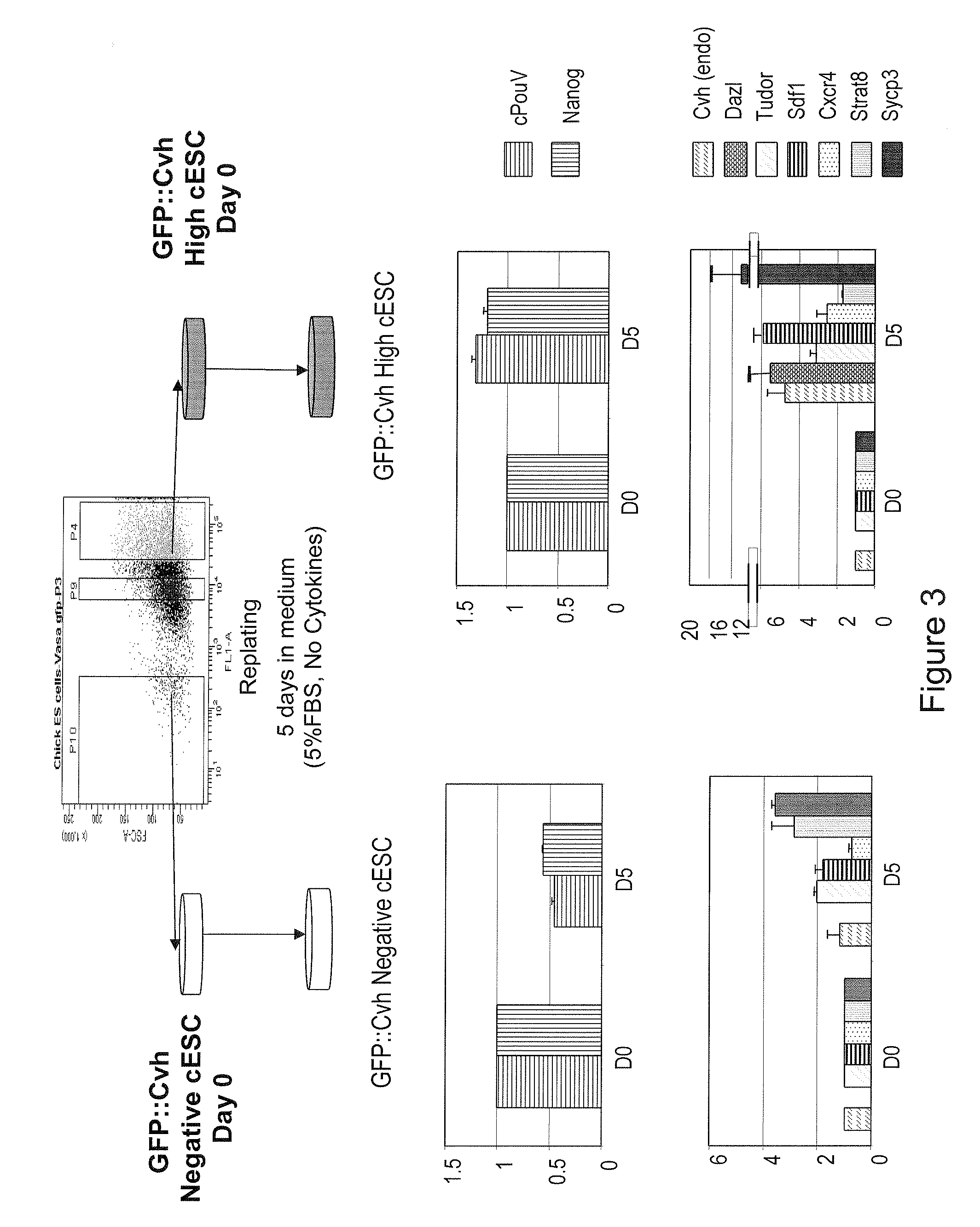 Method for reprogramming in vitro stem cells and somatic cells into germinal cells