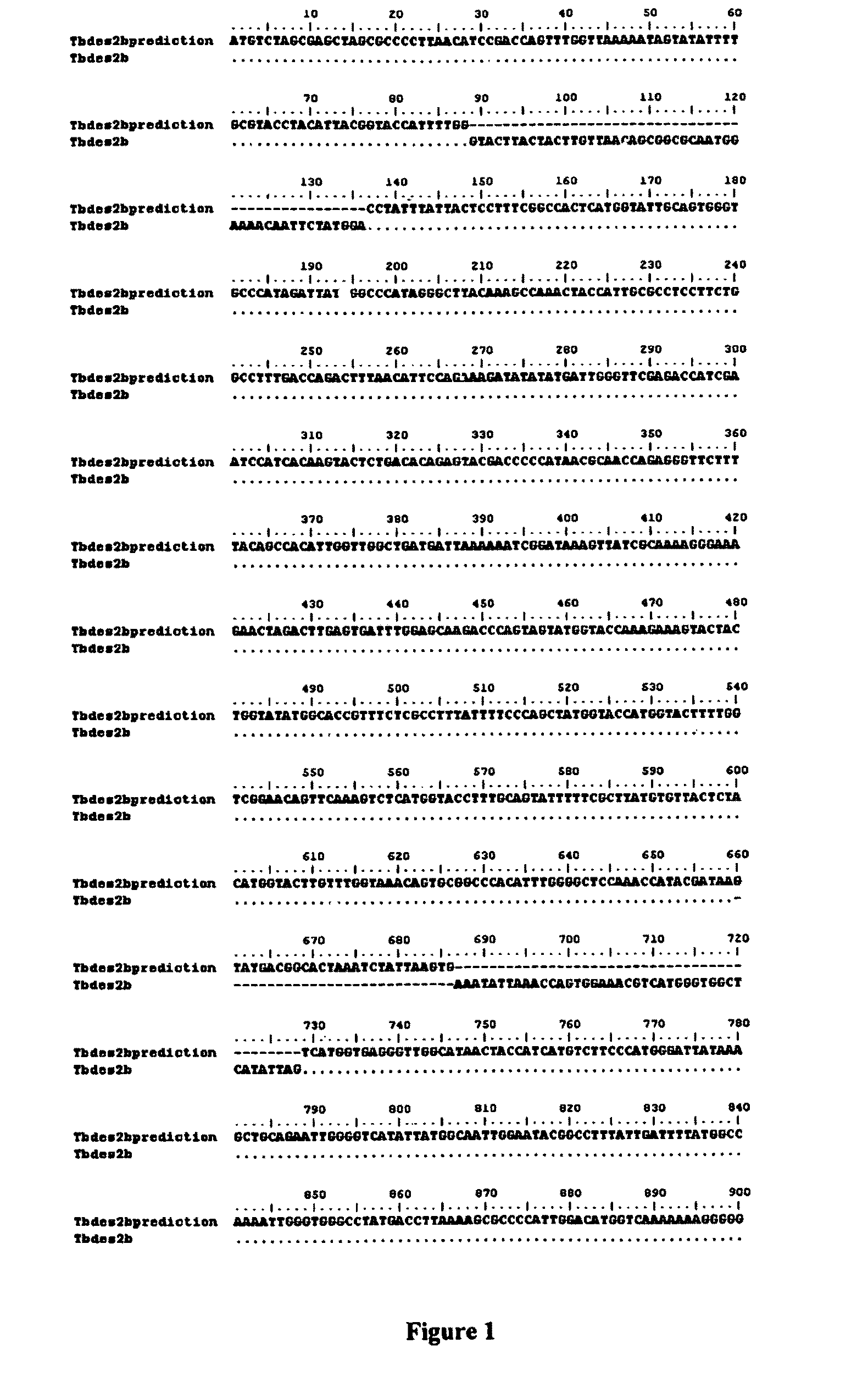 Synthesis of fatty acids