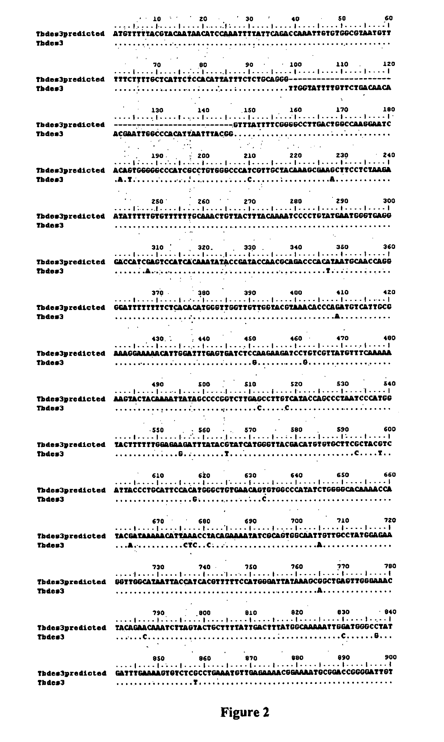 Synthesis of fatty acids