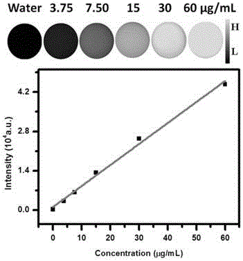 Bi-metal sulfur group ternary semiconductor nanoparticle and preparation method thereof