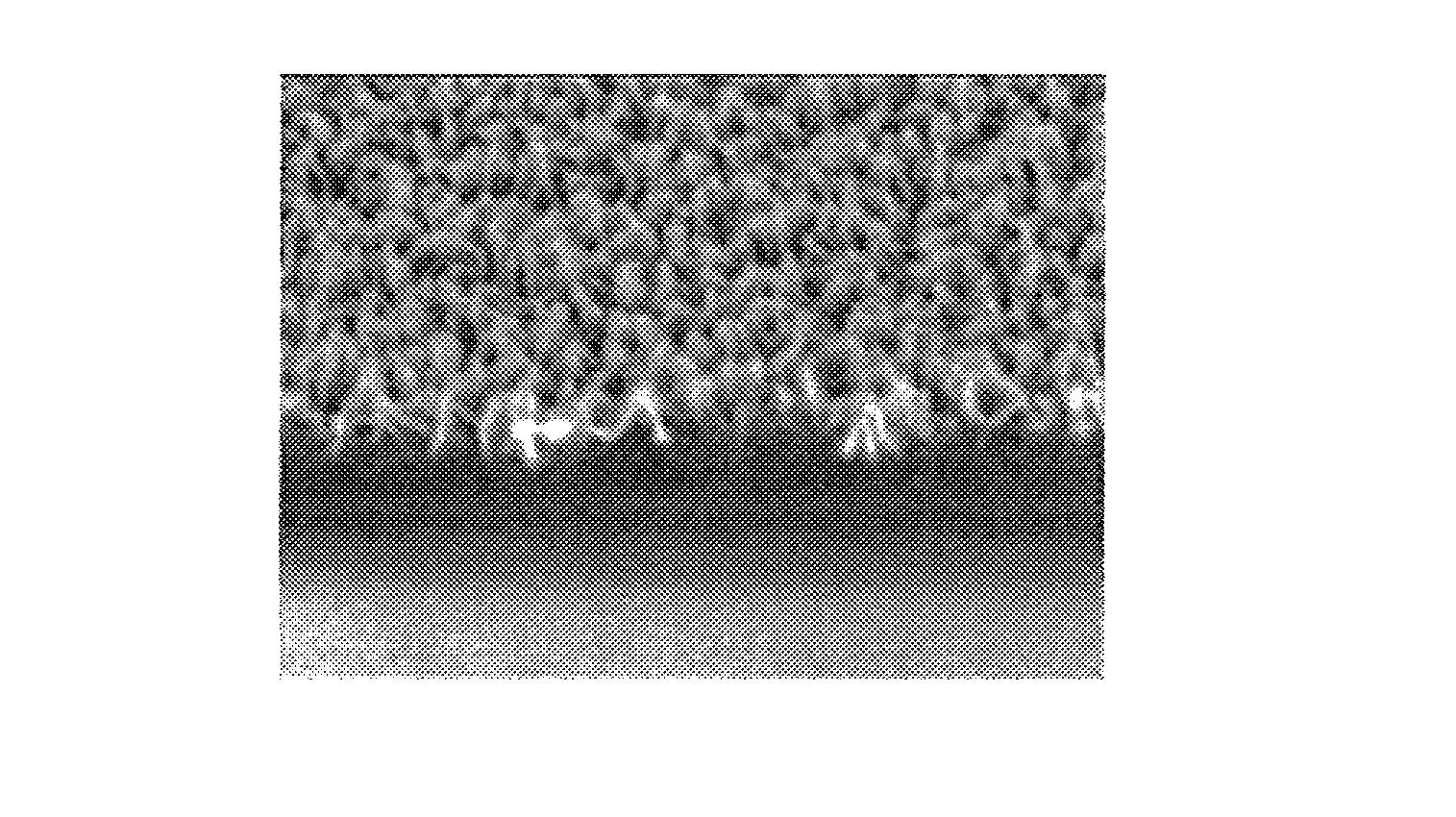 Optical member and method for producing same