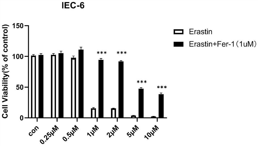 Application of orychophragmine D in preparation of medicine for inhibiting small intestine crypt epithelial cell ferroptosis