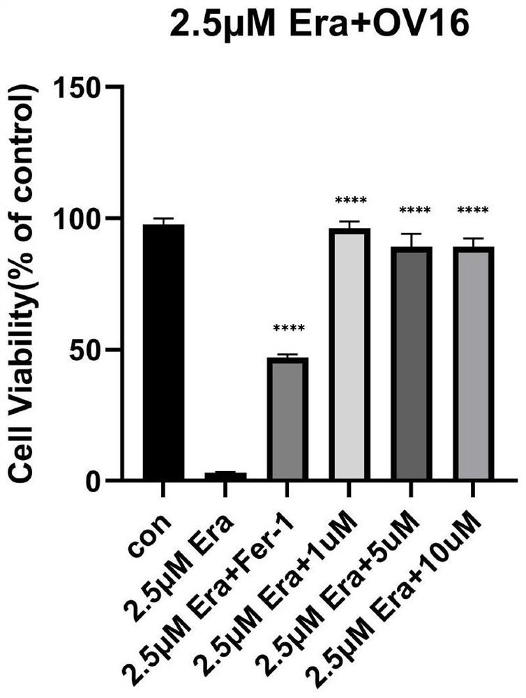 Application of orychophragmine D in preparation of medicine for inhibiting small intestine crypt epithelial cell ferroptosis