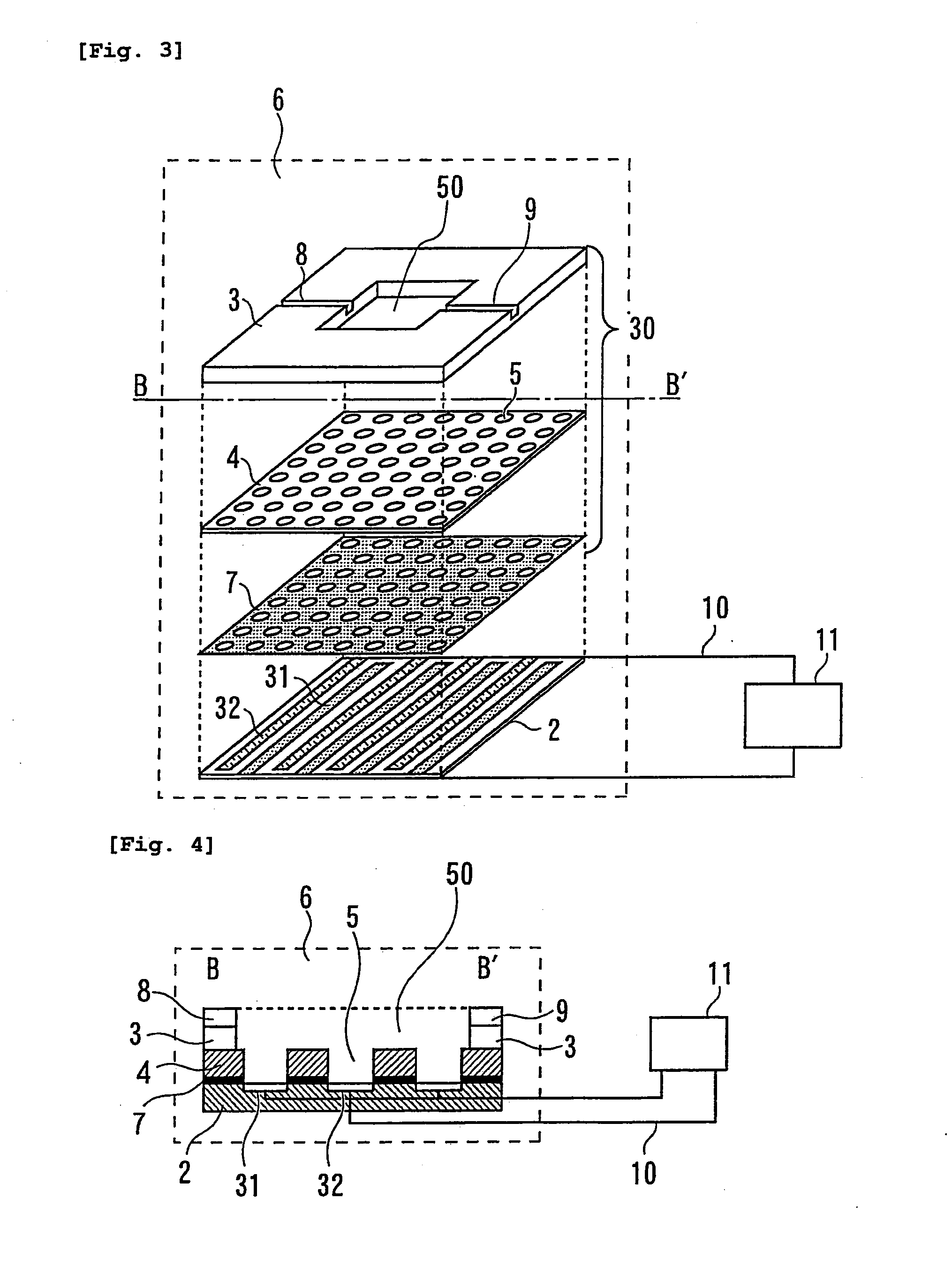 Biological sample immobilizing apparatus