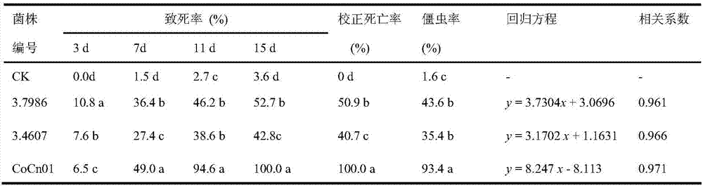 Metarhizium anisopliae strain with strong pathogenicity to curculio nucum and applications of metarhizium anisopliae strain