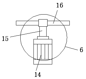 Size classification conveying device for fruit processing