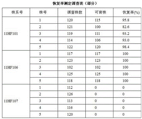 A kind of red leaf marker restorer line and its three-line hybrid breeding method