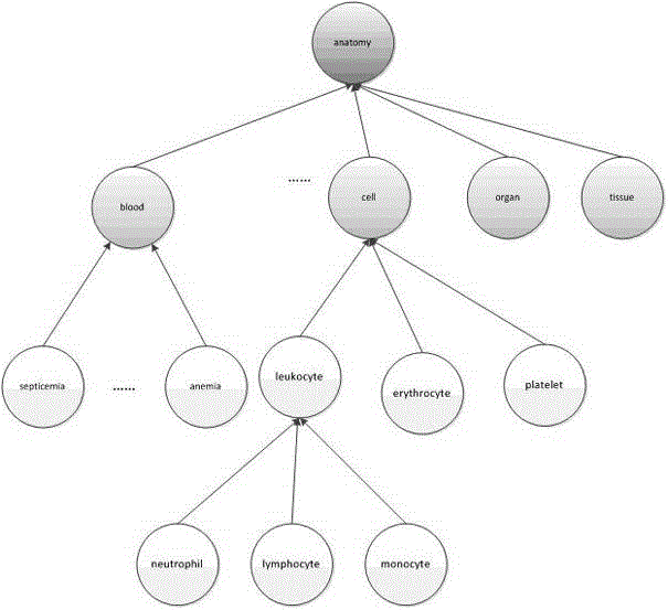 A Method for Generating Ontology Concept and Hierarchical Relationship