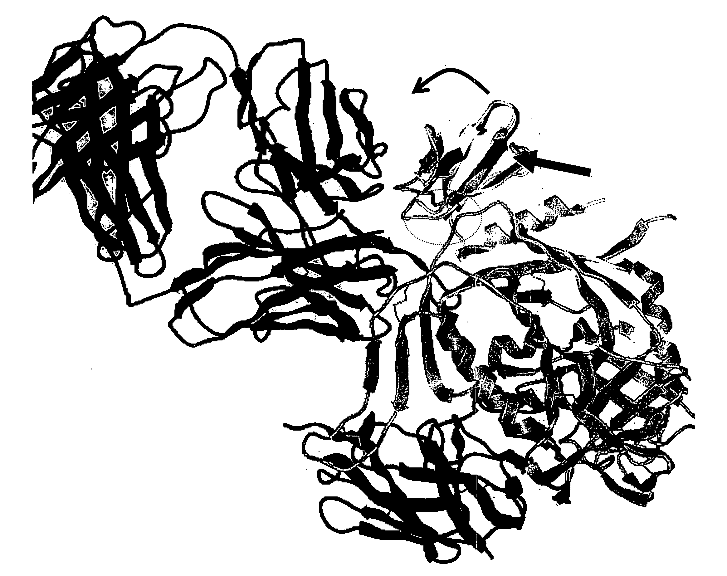 Method for determining co-receptor selectivity of human immunodeficiency virus-1