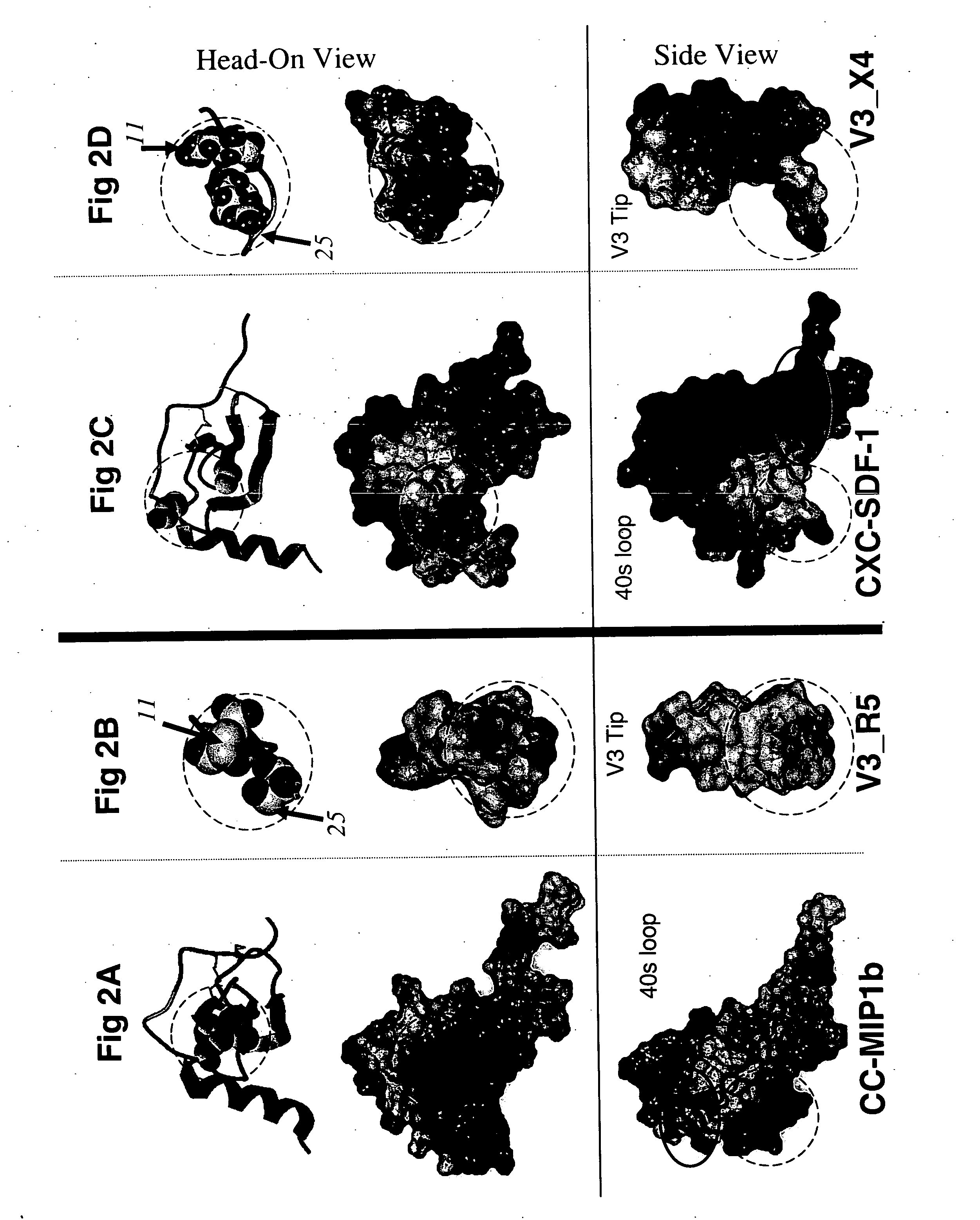 Method for determining co-receptor selectivity of human immunodeficiency virus-1