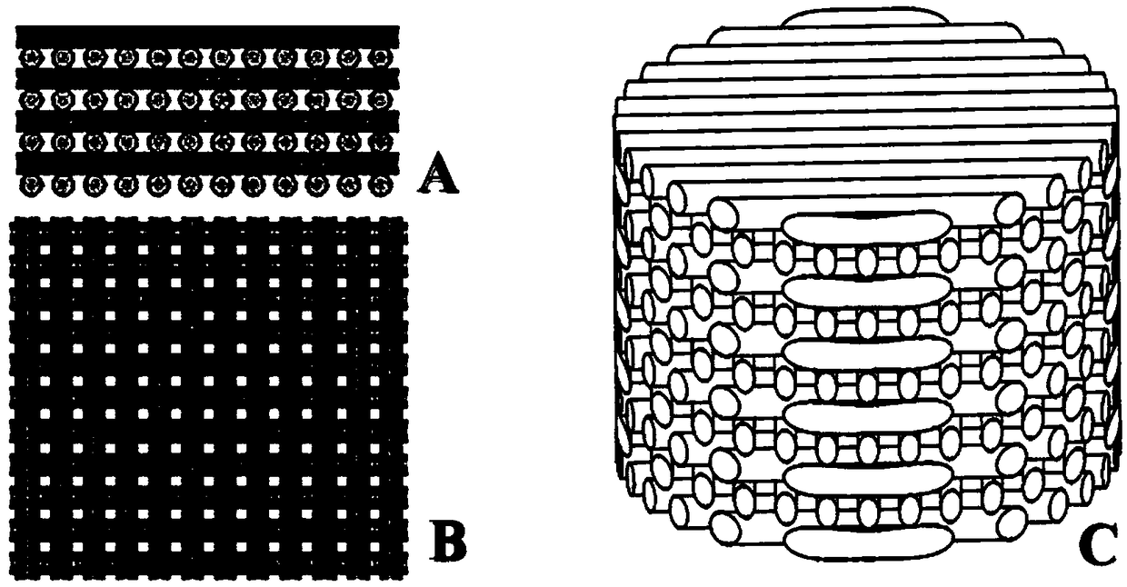 3D printed Ti-PDA-BMP-2 bone defect repair tissue engineering scaffold and preparation method thereof