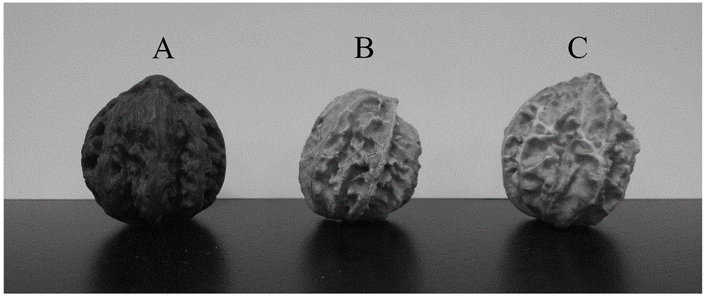 Method for bleaching handicrafts made by Chinese walnut shell