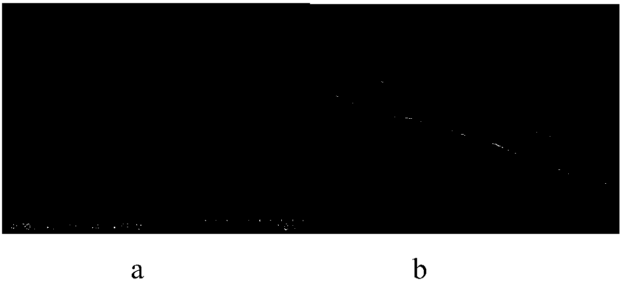 A kind of synthetic method and application of the al-btc nanotube of tb3+ modification