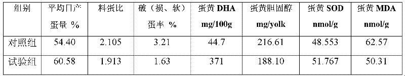 Laying hen forage premix containing DHA enriched in algae protein powder