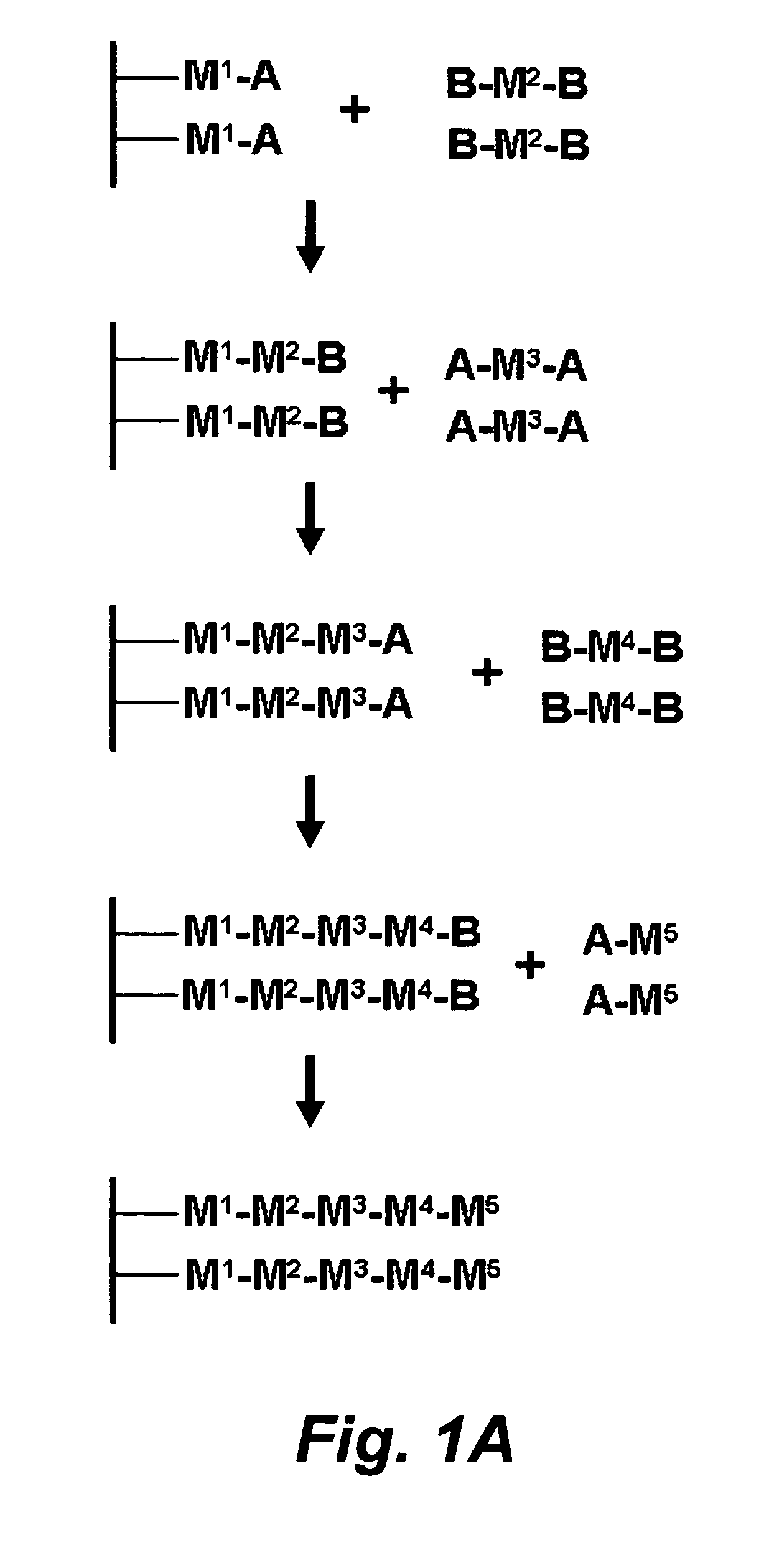 Stepwise growth of oligomeric redox-active molecules on a surface without the use of protecting groups