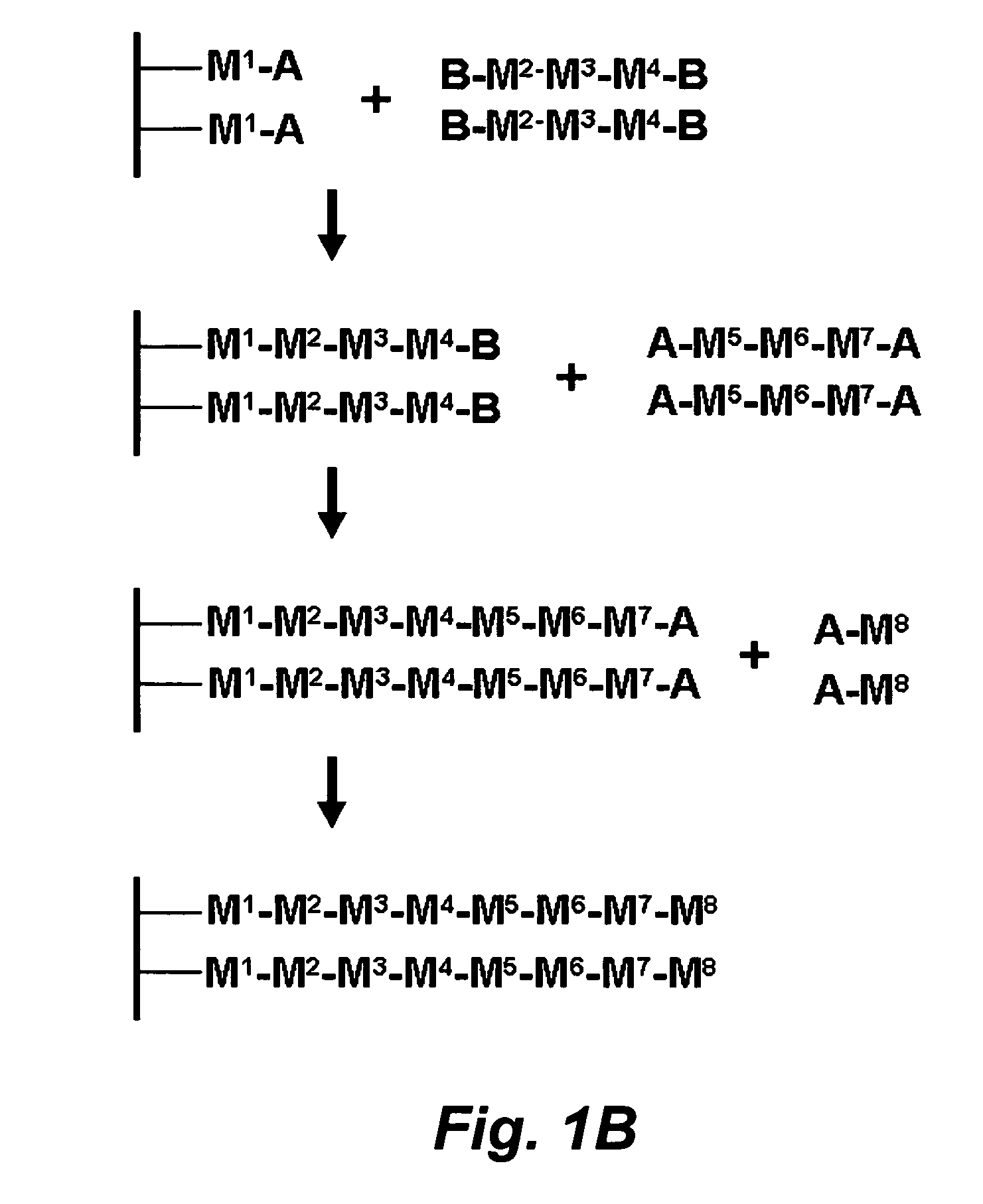 Stepwise growth of oligomeric redox-active molecules on a surface without the use of protecting groups