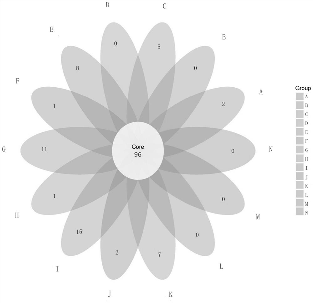 Feed for improving diversity of intestinal microorganisms of pigs and application thereof