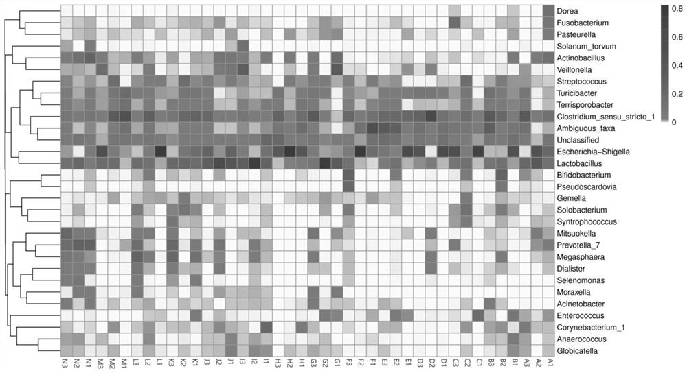 Feed for improving diversity of intestinal microorganisms of pigs and application thereof