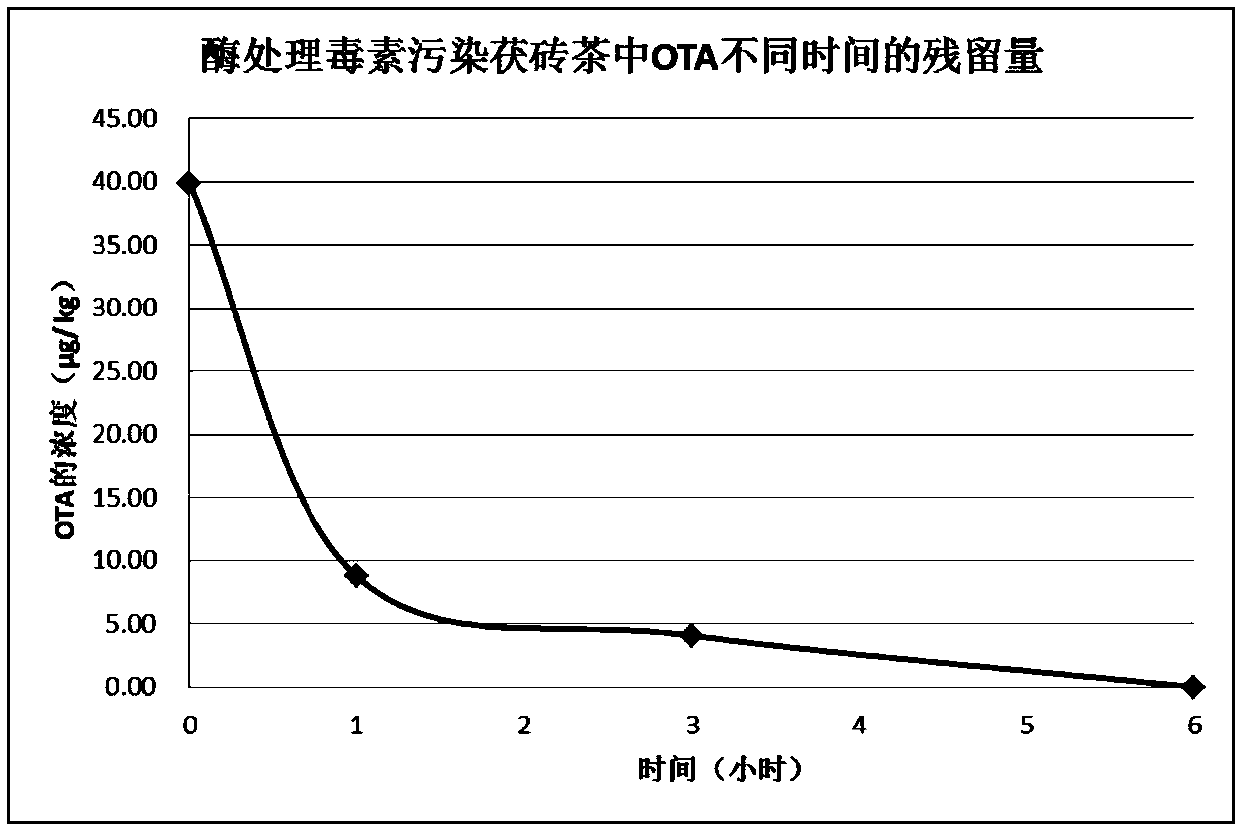 Amidase and coding gene, recombinant carrier, recombinant strain and application thereof