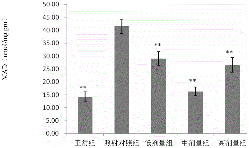 Compound traditional Chinese medicine for radiation protection