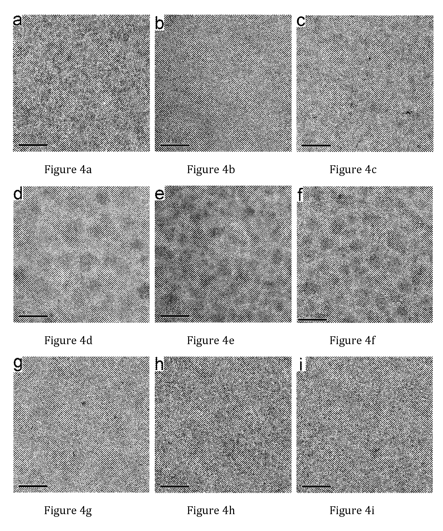 Semiconducting polymers