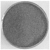 Preparation method for mushroom residue charcoal adsorbent and application thereof