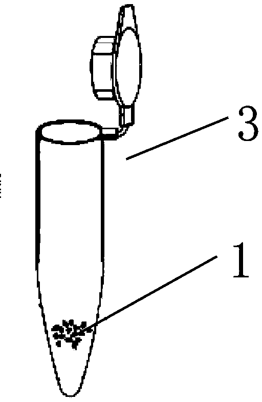 Kit for detecting low-abundance and low-molecular-weight protein spectrum