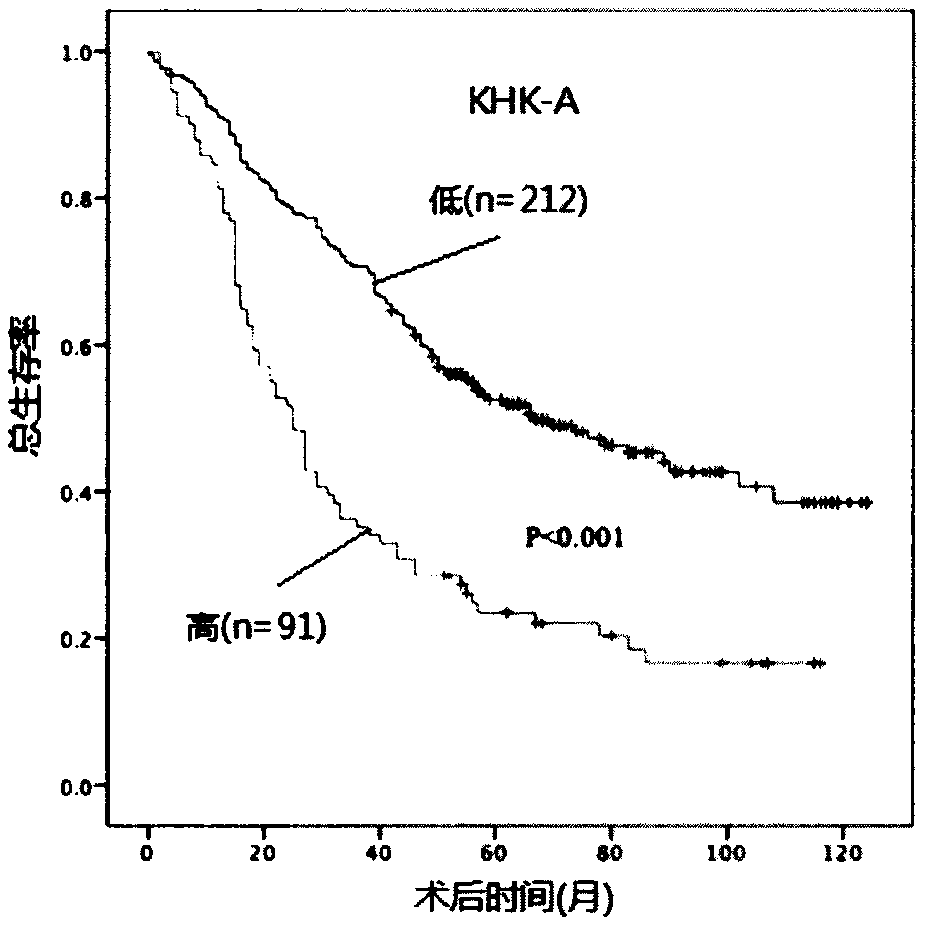 Prognostic prediction method for non-small cell lung cancer