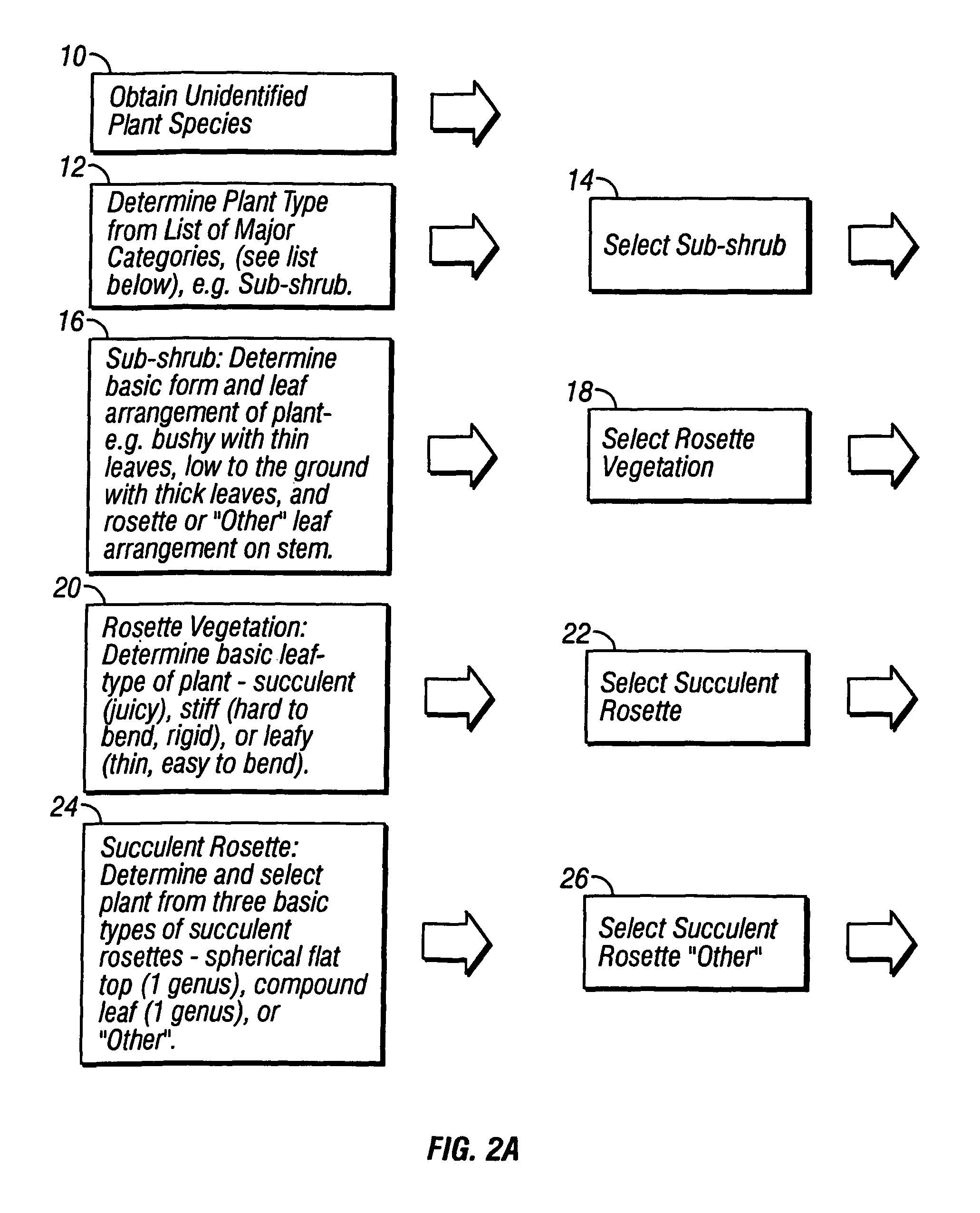 System and method for plant identification