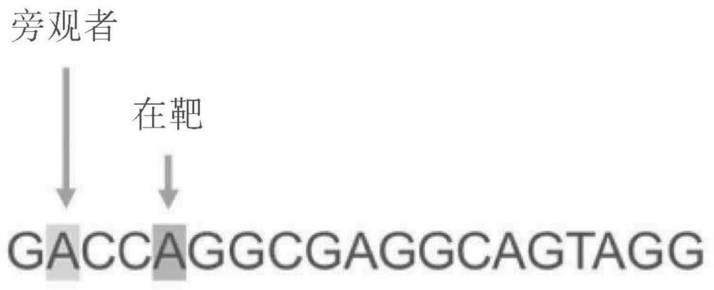 Compositions and methods for treating glycogen storage disease type 1a