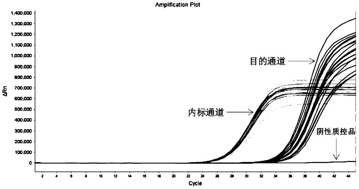 Primer probe combination and kit for detecting EGFR gene mutation