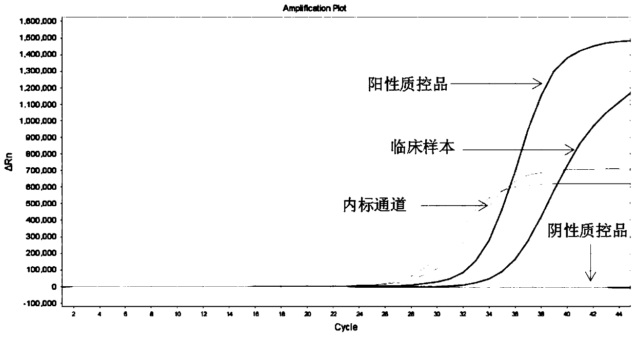 Primer probe combination and kit for detecting EGFR gene mutation