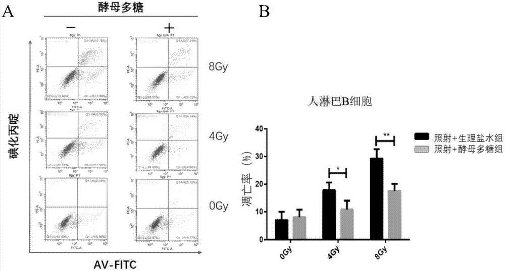 Application of zymosan-A in preparing medicine for protecting acute radioactive bone marrow injury