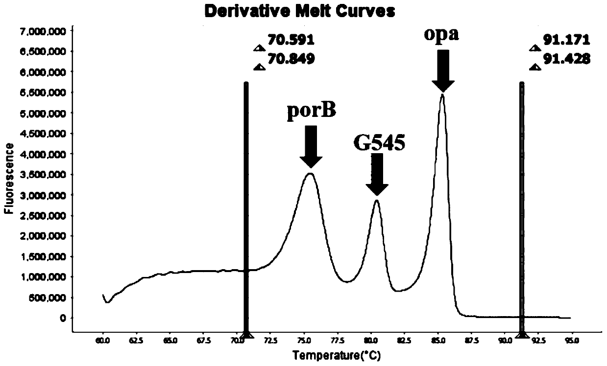 Method and kit for multiple detection of drug resistance sites of neisseria gonorrhoeae