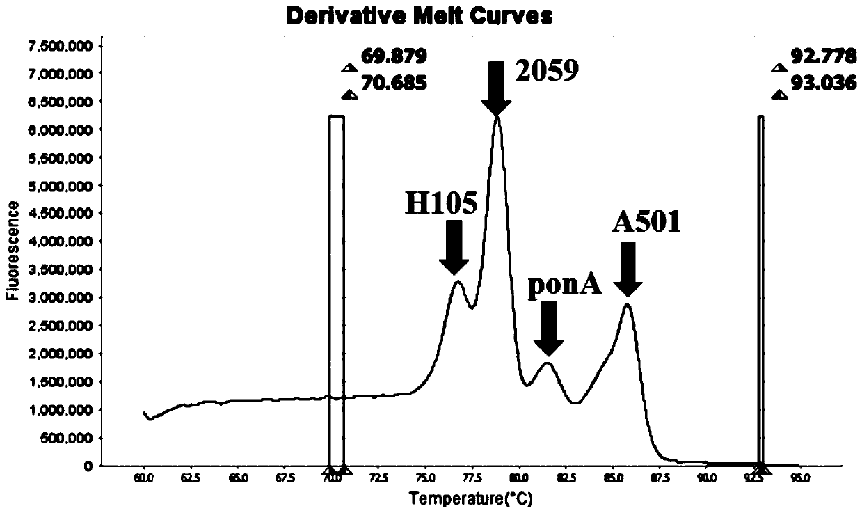 Method and kit for multiple detection of drug resistance sites of neisseria gonorrhoeae